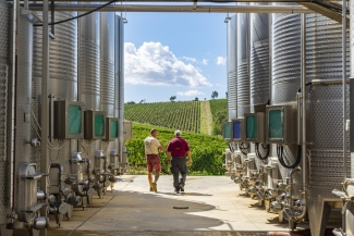 Winemakers