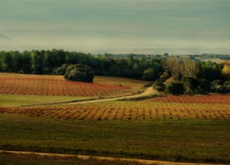 Bodegas Atalaya