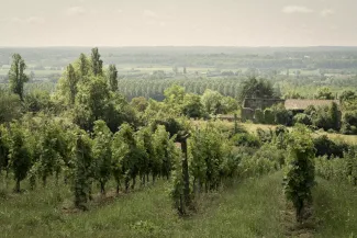 Chateau Paradis Casseuil