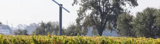 Sustainability Windmill